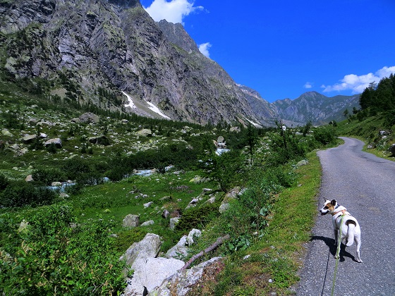 Foto: Andreas Koller / Wandertour / Im Val Ferret zum Rifugio Elena (2061m) / 17.05.2019 02:31:45