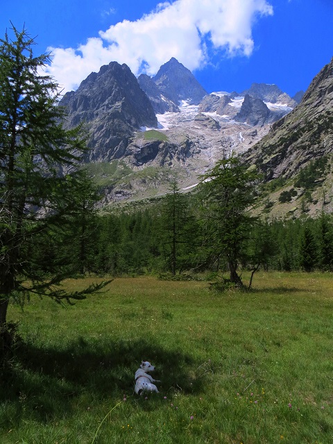 Foto: Andreas Koller / Wandertour / Im Val Ferret zum Rifugio Elena (2061m) / 17.05.2019 02:31:24