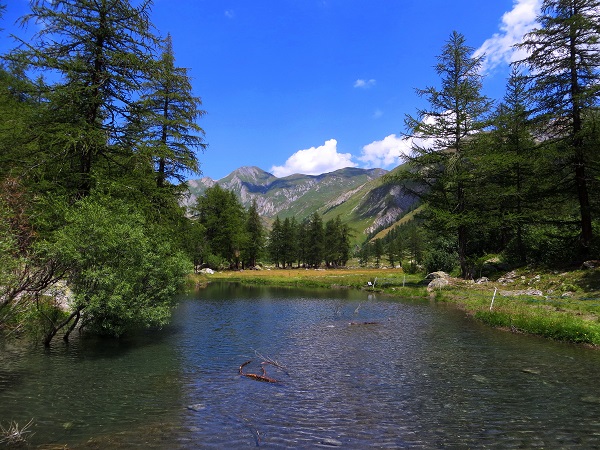 Foto: Andreas Koller / Wandertour / Im Val Ferret zum Rifugio Elena (2061m) / 17.05.2019 02:31:14
