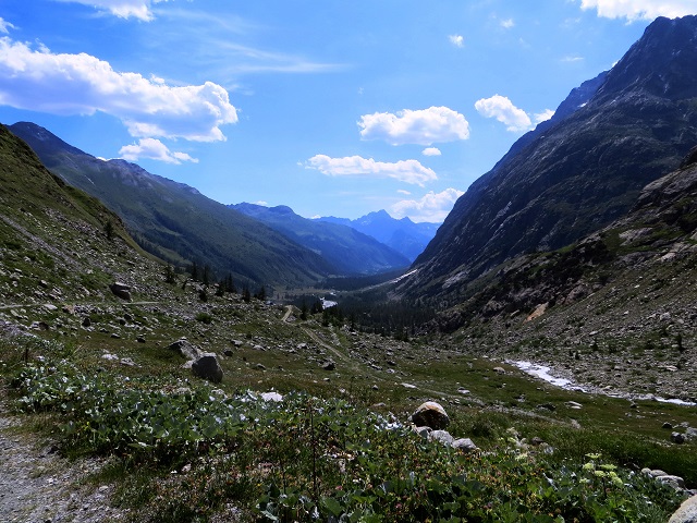 Foto: Andreas Koller / Wandertour / Im Val Ferret zum Rifugio Elena (2061m) / 17.05.2019 02:30:16