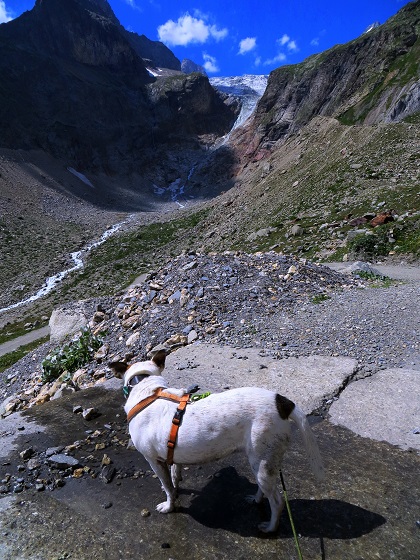 Foto: Andreas Koller / Wandertour / Im Val Ferret zum Rifugio Elena (2061m) / 17.05.2019 02:30:07