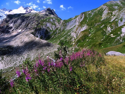 Foto: Andreas Koller / Wandertour / Im Val Ferret zum Rifugio Elena (2061m) / 17.05.2019 02:28:47