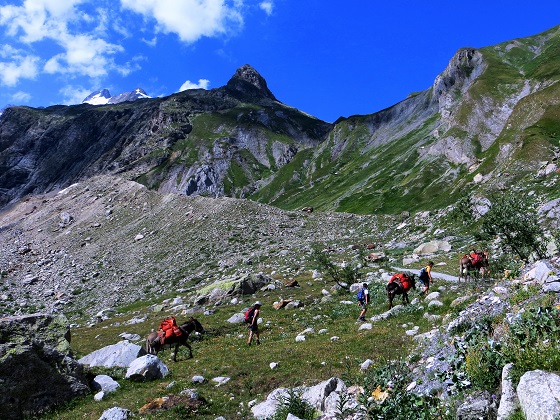 Foto: Andreas Koller / Wandertour / Im Val Ferret zum Rifugio Elena (2061m) / 17.05.2019 02:28:25