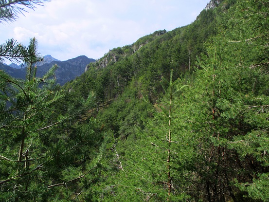 Foto: Andreas Koller / Klettersteigtour / Via ferrata Crench und zwei Gipfel (779m) / 21.06.2019 22:59:50