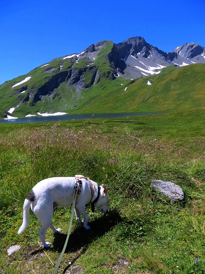Foto: Andreas Koller / Wandertour / Familienwandergebiet Lago Verney (2294m) / 28.06.2019 01:54:48