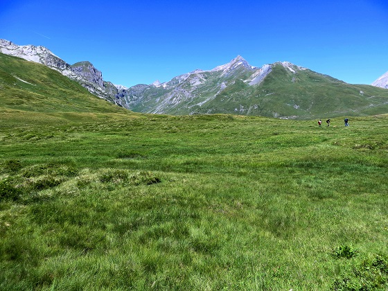 Foto: Andreas Koller / Wandertour / Familienwandergebiet Lago Verney (2294m) / 28.06.2019 01:54:20