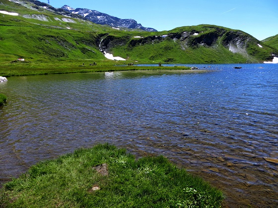Foto: Andreas Koller / Wandertour / Familienwandergebiet Lago Verney (2294m) / 28.06.2019 01:53:48