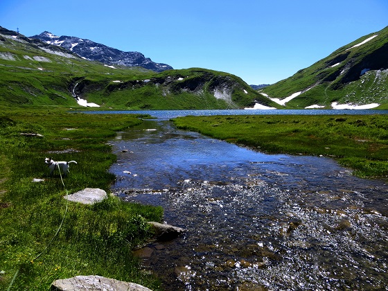 Foto: Andreas Koller / Wandertour / Familienwandergebiet Lago Verney (2294m) / 28.06.2019 01:52:55