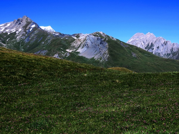 Foto: Andreas Koller / Wandertour / Familienwandergebiet Lago Verney (2294m) / 28.06.2019 01:52:16