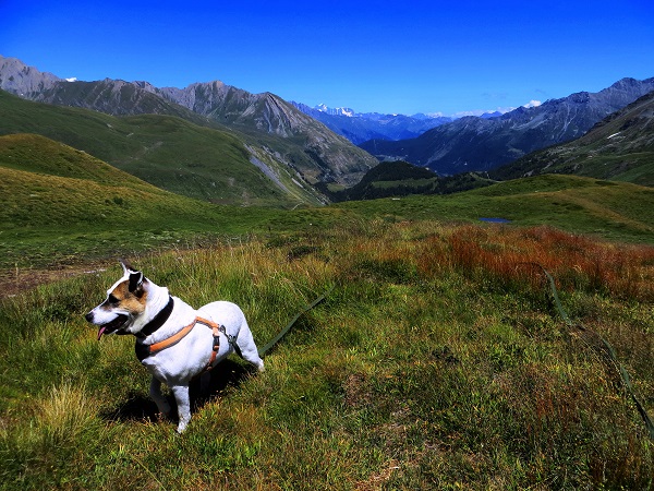 Foto: Andreas Koller / Wandertour / Familienwandergebiet Lago Verney (2294m) / Am Mont Verney / 28.06.2019 01:51:10