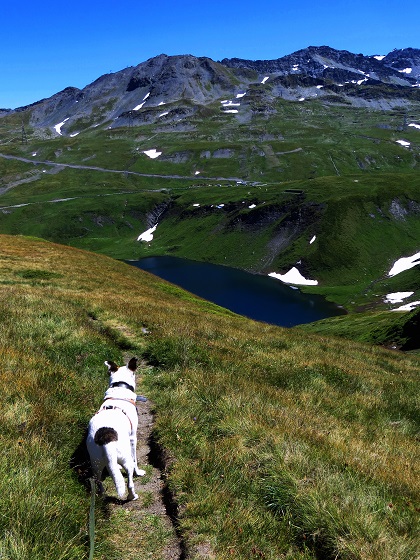 Foto: Andreas Koller / Wandertour / Familienwandergebiet Lago Verney (2294m) / Abstieg / 28.06.2019 01:50:24