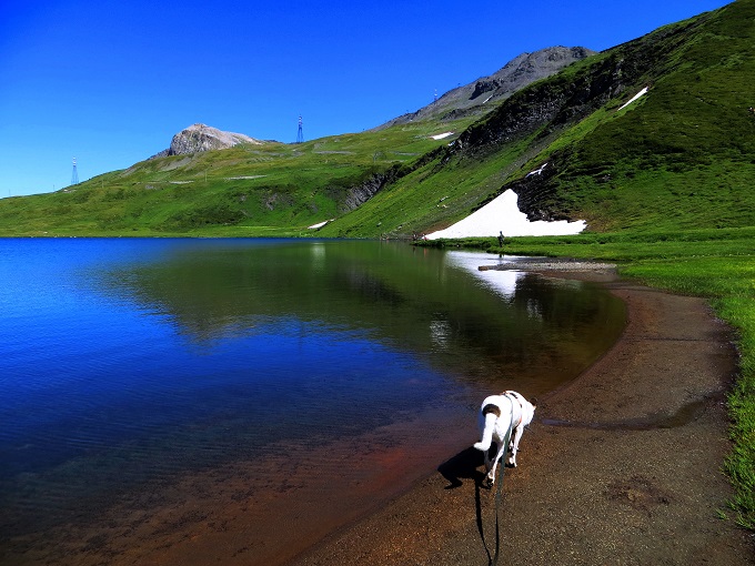 Foto: Andreas Koller / Wandertour / Familienwandergebiet Lago Verney (2294m) / 28.06.2019 01:49:18