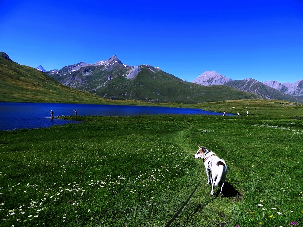 Foto: Andreas Koller / Wandertour / Familienwandergebiet Lago Verney (2294m) / 28.06.2019 01:48:56