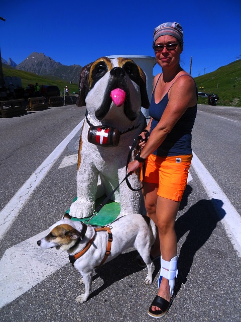 Foto: Andreas Koller / Wandertour / Familienwandergebiet Lago Verney (2294m) / 28.06.2019 01:47:45