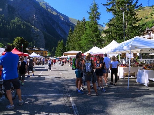Foto: Andreas Koller / Wandertour / Familienwandergebiet Lago Verney (2294m) / 28.06.2019 01:46:58