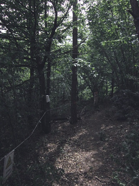 Foto: Andreas Koller / Klettersteigtour / OeAV Südburgenland Klettersteig Markt Neuhodis (395m) / 28.06.2019 02:26:24
