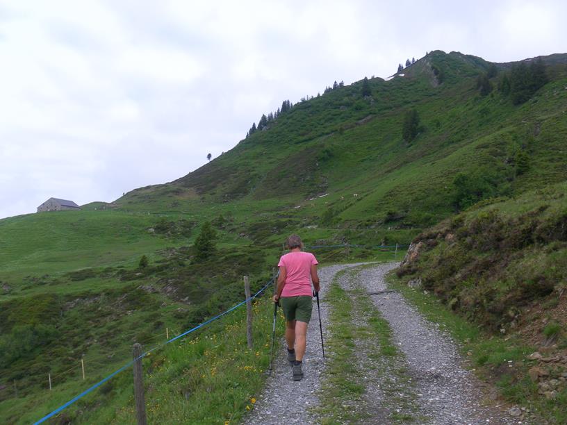 Foto: Wolfgang Lauschensky / Wandertour / Gerenfalben, Matona und Hoher Freschen / Weg zur Altgerachalpe / 08.07.2019 17:59:49