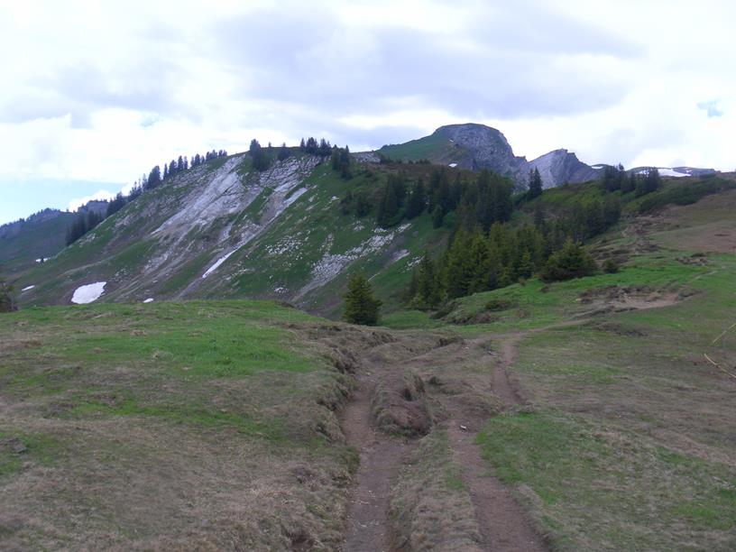 Foto: Wolfgang Lauschensky / Wandertour / Gerenfalben, Matona und Hoher Freschen / am Rücken zur mittigen Matona / 08.07.2019 17:59:37