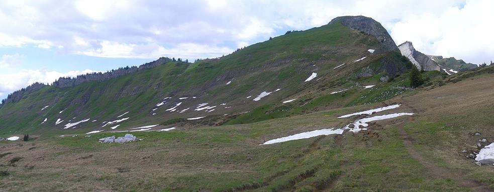 Foto: Wolfgang Lauschensky / Wandertour / Gerenfalben, Matona und Hoher Freschen / Matona SW-Grat / 08.07.2019 17:59:33