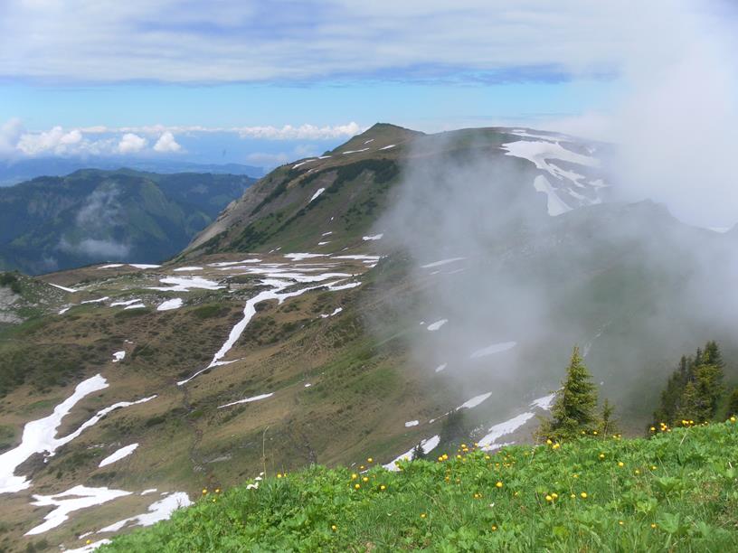 Foto: Wolfgang Lauschensky / Wandertour / Gerenfalben, Matona und Hoher Freschen / Hoher Freschen / 08.07.2019 17:59:22