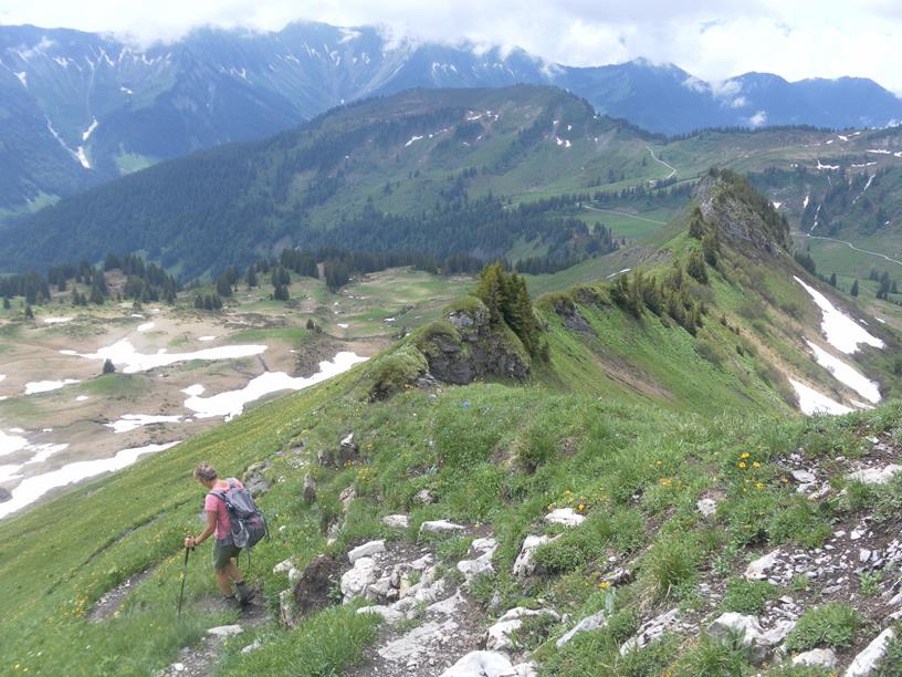 Foto: Wolfgang Lauschensky / Wandertour / Gerenfalben, Matona und Hoher Freschen / Abstieg am SW-Grat / 08.07.2019 17:59:18