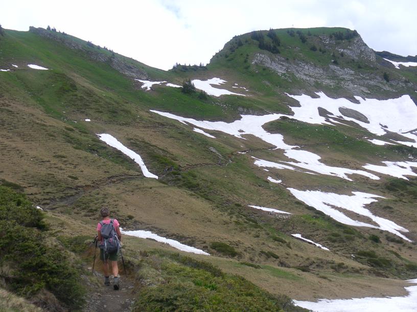 Foto: Wolfgang Lauschensky / Wandertour / Gerenfalben, Matona und Hoher Freschen / Matona vom Freschenhaus / 08.07.2019 17:59:07