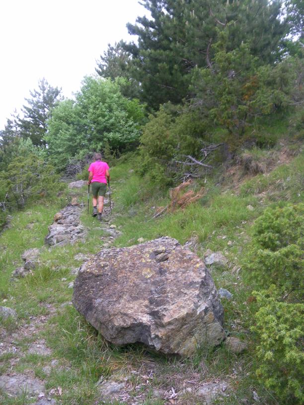 Foto: Wolfgang Lauschensky / Wandertour / Monte Roccabruna und Monte Gifarco / alter Karrenweg / 09.07.2019 17:18:50