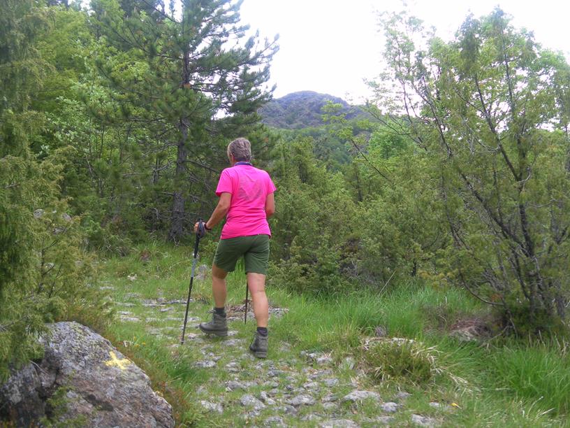 Foto: Wolfgang Lauschensky / Wandertour / Monte Roccabruna und Monte Gifarco / gelbes Kreuz als Markierung / 09.07.2019 17:18:43