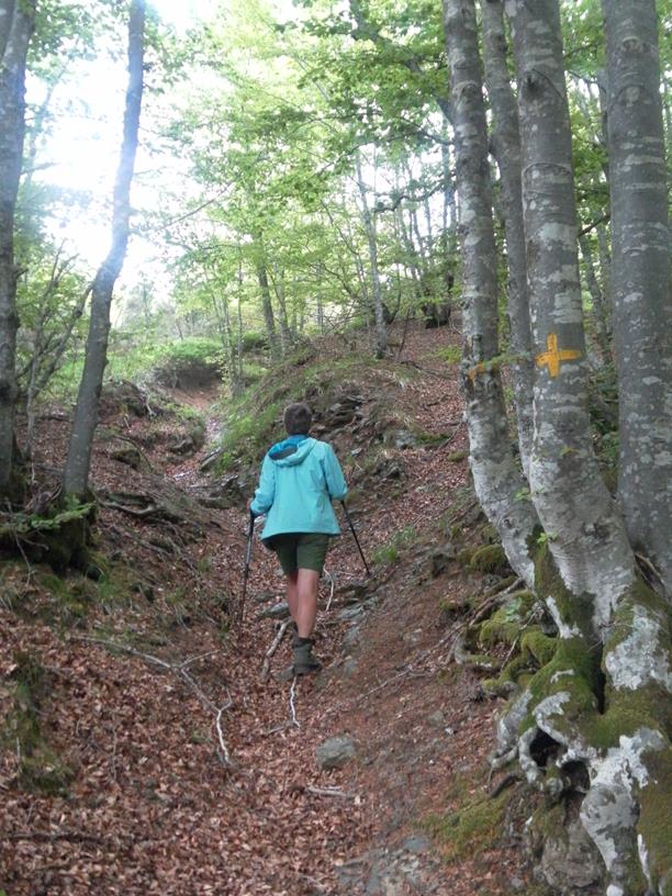 Foto: Wolfgang Lauschensky / Wandertour / Monte Roccabruna und Monte Gifarco / Hohlweg / 09.07.2019 17:18:39