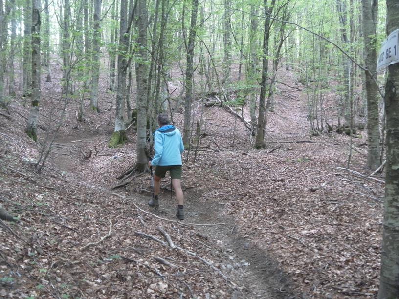 Foto: Wolfgang Lauschensky / Wandertour / Monte Roccabruna und Monte Gifarco / Weitwanderweg am Bergrücken / 09.07.2019 17:18:35