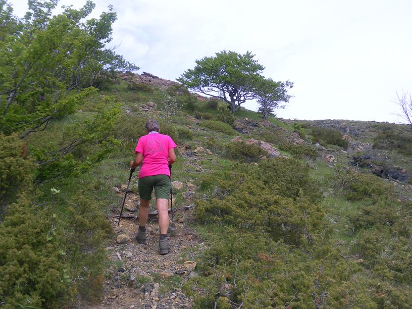 Foto: Wolfgang Lauschensky / Wandertour / Monte Roccabruna und Monte Gifarco / Südhang des Monte Roccabruna / 09.07.2019 17:18:19