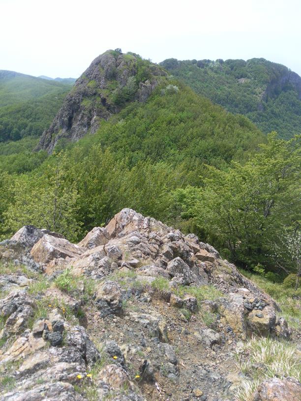 Foto: Wolfgang Lauschensky / Wandertour / Monte Roccabruna und Monte Gifarco / Gratabstieg zum Monte Gifarco / 09.07.2019 17:18:06