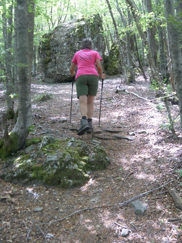 Foto: Wolfgang Lauschensky / Wandertour / Monte Roccabruna und Monte Gifarco / Felsblock am Nordrücken des Monte Gifarco / 09.07.2019 17:18:02