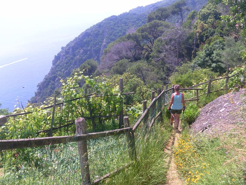 Foto: Wolfgang Lauschensky / Wandertour / Monte Portofino oder Semiforo Vecchio 610m / Wanderweg nach San Fruttuosa / 11.07.2019 18:07:38