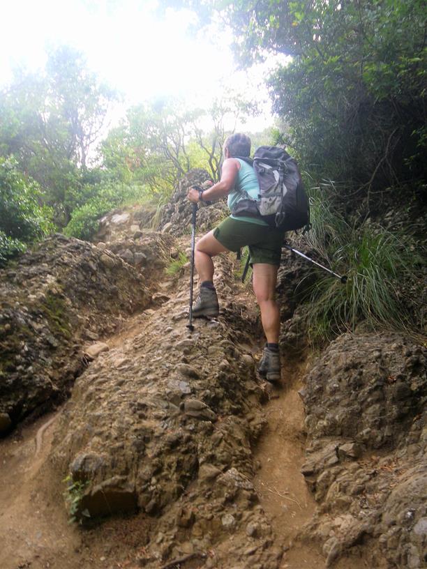 Foto: Wolfgang Lauschensky / Wandertour / Monte Portofino oder Semiforo Vecchio 610m / kurze Steilstufen / 11.07.2019 18:07:17