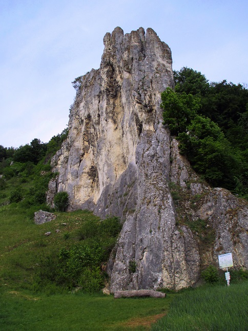 Foto: Andreas Koller / Klettersteigtour / Oberlandsteig im Altmühltal (495m) / 12.07.2019 12:42:07