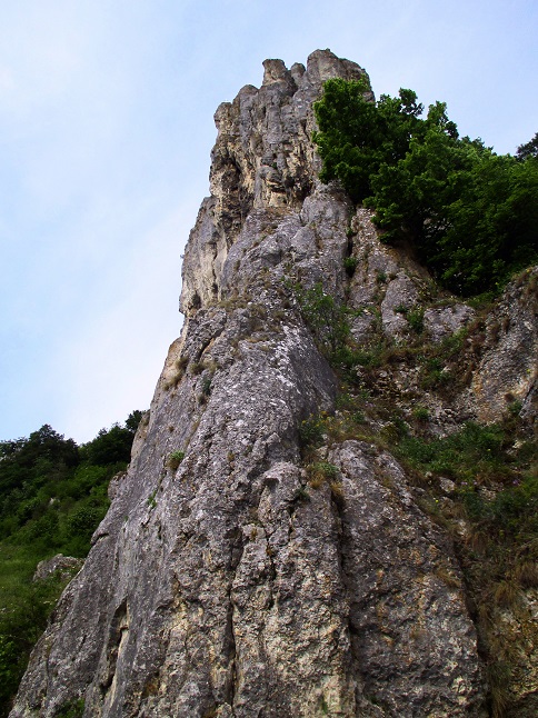 Foto: Andreas Koller / Klettersteigtour / Oberlandsteig im Altmühltal (495m) / 12.07.2019 12:41:56