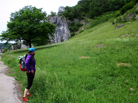 Foto: Andreas Koller / Klettersteigtour / Oberlandsteig im Altmühltal (495m) / 12.07.2019 12:40:34