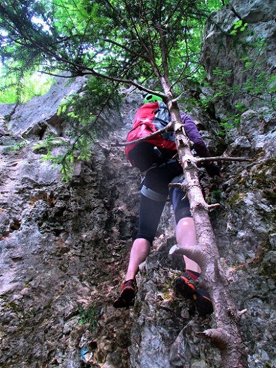 Foto: Andreas Koller / Klettersteigtour / Oberlandsteig im Altmühltal (495m) / 12.07.2019 12:38:54