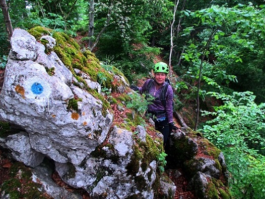 Foto: Andreas Koller / Klettersteigtour / Oberlandsteig im Altmühltal (495m) / 12.07.2019 12:37:51