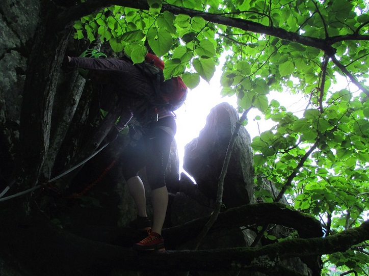 Foto: Andreas Koller / Klettersteigtour / Oberlandsteig im Altmühltal (495m) / 12.07.2019 12:37:26