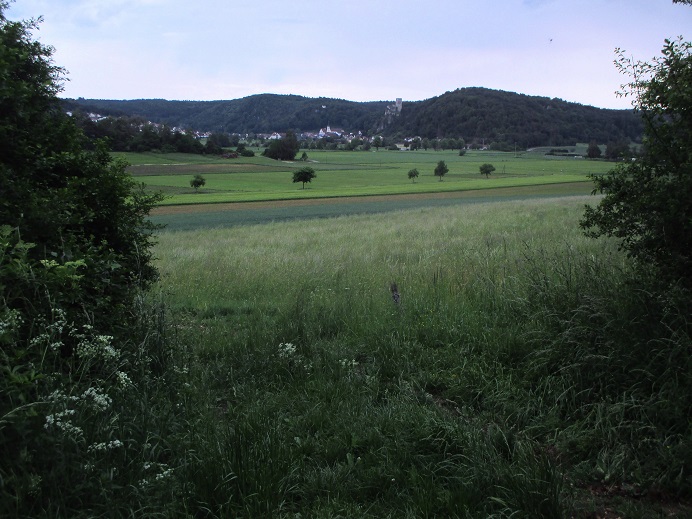 Foto: Andreas Koller / Klettersteigtour / Oberlandsteig im Altmühltal (495m) / 12.07.2019 12:35:00