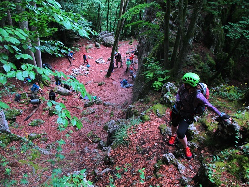 Foto: Andreas Koller / Klettersteigtour / Oberlandsteig im Altmühltal (495m) / 12.07.2019 12:33:18