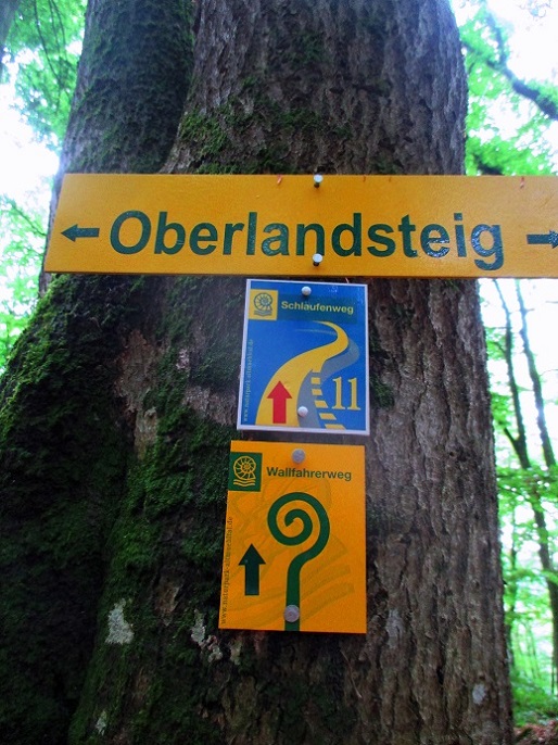 Foto: Andreas Koller / Klettersteigtour / Oberlandsteig im Altmühltal (495m) / 12.07.2019 12:32:56