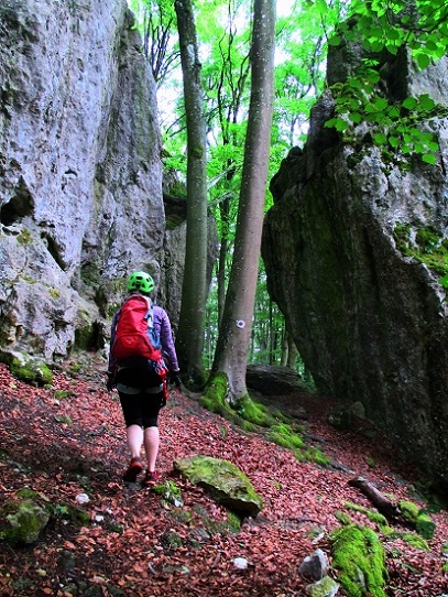 Foto: Andreas Koller / Klettersteigtour / Oberlandsteig im Altmühltal (495m) / 12.07.2019 12:32:48