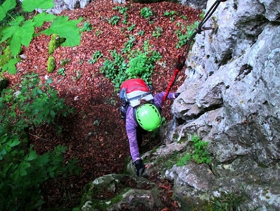Foto: Andreas Koller / Klettersteigtour / Oberlandsteig im Altmühltal (495m) / 12.07.2019 12:32:29