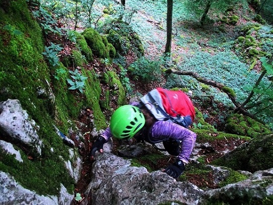 Foto: Andreas Koller / Klettersteigtour / Oberlandsteig im Altmühltal (495m) / 12.07.2019 12:31:51