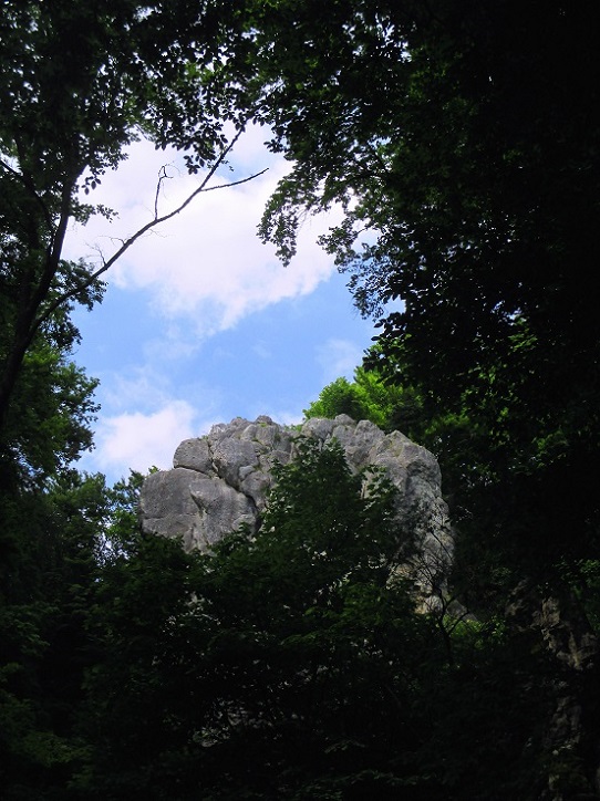 Foto: Andreas Koller / Klettersteigtour / Oberlandsteig im Altmühltal (495m) / 12.07.2019 12:30:45