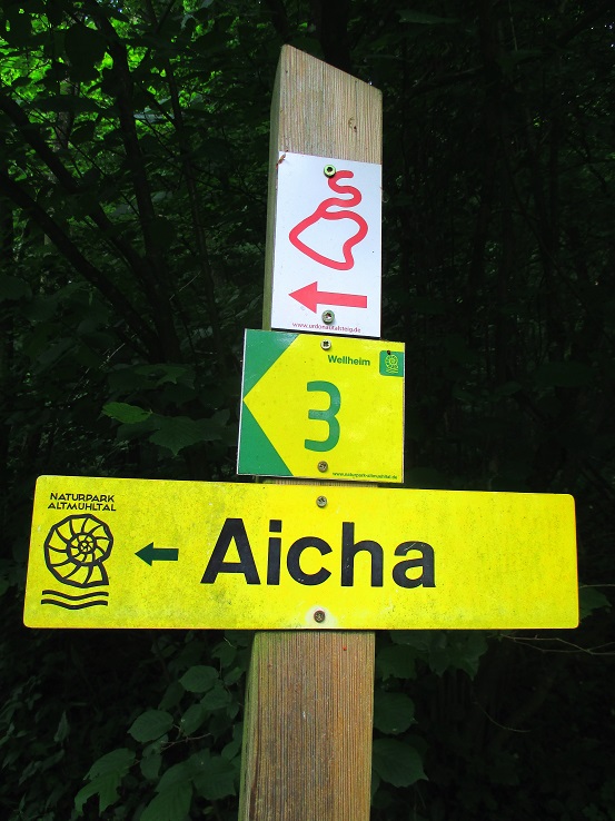 Foto: Andreas Koller / Klettersteigtour / Oberlandsteig im Altmühltal (495m) / 12.07.2019 12:30:23