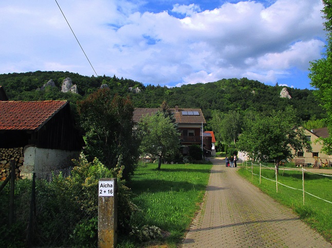 Foto: Andreas Koller / Klettersteigtour / Oberlandsteig im Altmühltal (495m) / 12.07.2019 12:29:54